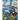Under The Sea: Fishes, Turtle, Seaweed, Artwork, Painting, Story book,