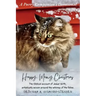 Happy Meowy Christmas Devotional