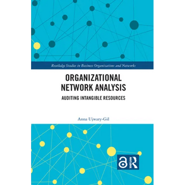 Organizational Network Analysis: Auditing Intangible Resources