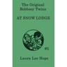 The Bobbsey Twins at Snow Lodge