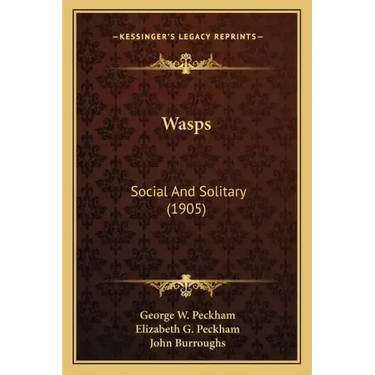 Wasps: Social and Solitary (1905)
