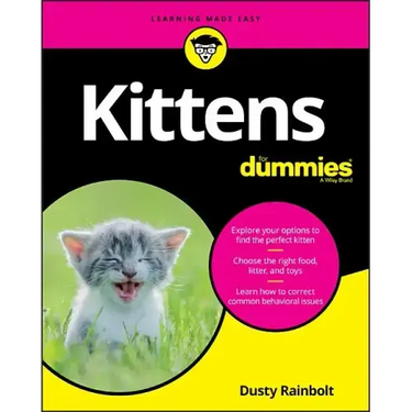 Kittens For Dummies