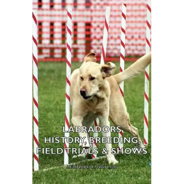 Labradors - History, Breeding, Field Trials & Shows
