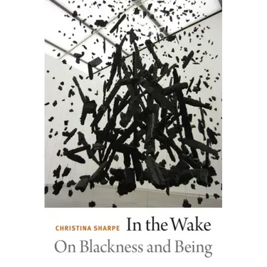 In the Wake: On Blackness and Being