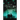 Invasion