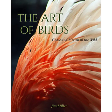 The Art of Birds: Grace and Motion in the Wild
