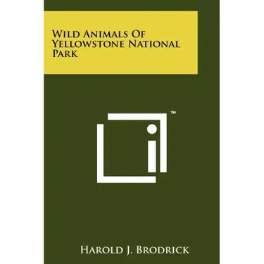 Wild Animals Of Yellowstone National Park