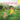 Precious Girl: A Love Letter From Parent to Child