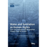 Water and Sanitation as Human Rights: Have They Strengthened Marginalized Peoples' Claim for Access?