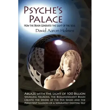 Psyche's Palace: How the Brain Generates the Light of the Soul