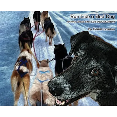 Run Like a Sled Dog: Another Black Bear Sled Dog Adventure