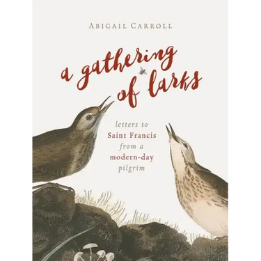 A Gathering of Larks: Letters to Saint Francis from a Modern-Day Pilgrim