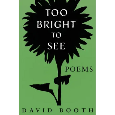 Too Bright to See