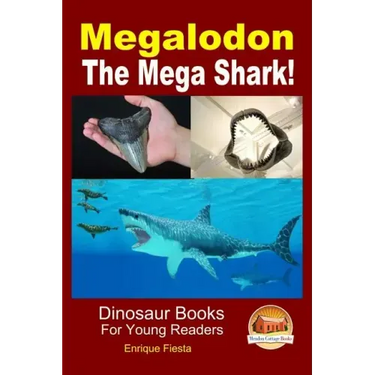 Megalodon - The Mega Shark!