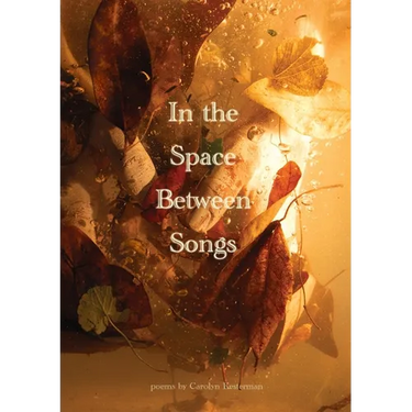 In the Space Between Songs