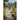 Broken Walk: Searching For Wisdom