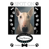Spot On: Mystery at the Dog Rescue
