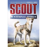 Scout: National Hero