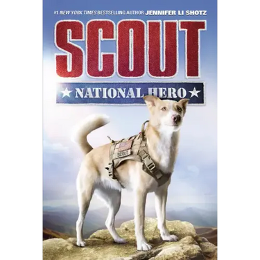 Scout: National Hero