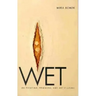 Wet: On Painting, Feminism, and Art Culture
