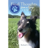 Final Thoughts From A Dying Zen Dog