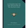 A Commentary on the Apocalypse of the Blessed John