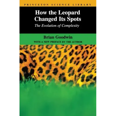 How the Leopard Changed Its Spots: The Evolution of Complexity