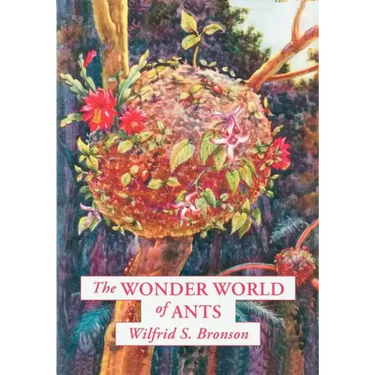 The Wonder World of Ants