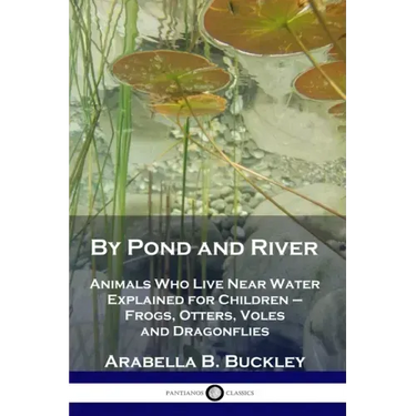 By Pond and River: Animals Who Live Near Water Explained for Children - Frogs, Otters, Voles and Dragonflies