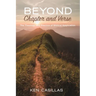 Beyond Chapter and Verse: The Theology and Practice of Biblical Application
