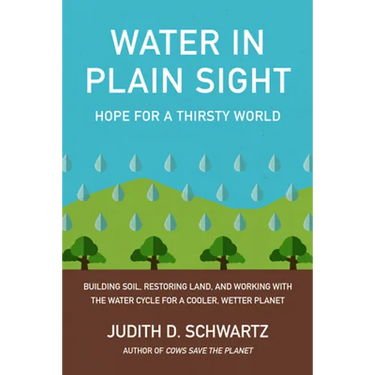 Water in Plain Sight: Hope for a Thirsty World