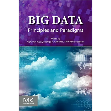 Big Data: Principles and Paradigms
