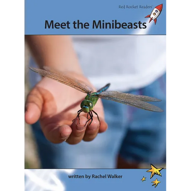Meet the Minibeasts