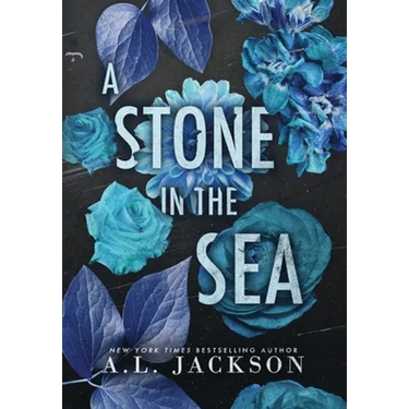 A Stone in the Sea (Hardcover)