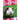 Guinea Pigs