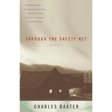 Through the Safety Net: stories