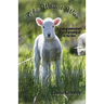 The Way it Was: A Great-grandmother's Stories of Growing up on the Farm
