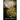 Erasing All Doubt: Alpha's Rule: In The Beginning Book 0.5