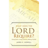What Does the Lord Require?: Doing Justice, Loving Kindness, and Walking Humbly