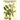 Medical & Officinal Plants - VOL. 1: Piante officinali, medicinali e aromatiche