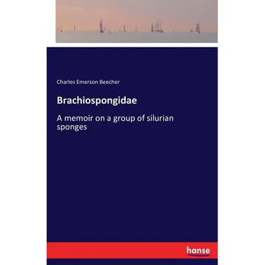 Brachiospongidae: A memoir on a group of silurian sponges