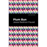 Plum Bun: A Novel Without a Moral
