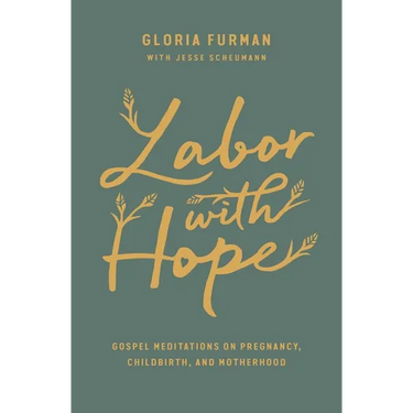 Labor with Hope: Gospel Meditations on Pregnancy, Childbirth, and Motherhood