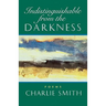 Indistinguishable from the Darkness: Poems