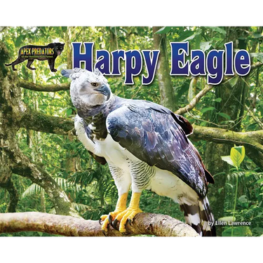 Harpy Eagle
