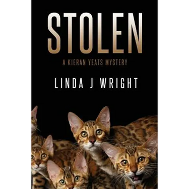 Stolen: A Kieran Yeats Mystery