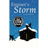 Emmet's Storm