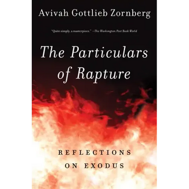 The Particulars of Rapture: Reflections on Exodos