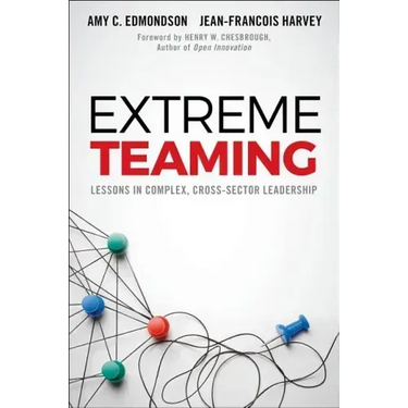 Extreme Teaming: Lessons in Complex, Cross-Sector Leadership