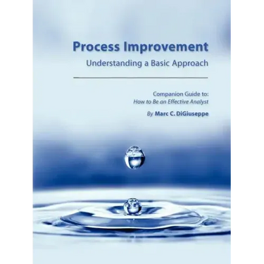Process Improvement: Understanding a Basic Approach - Companion Guidebook to How to Be an Effective Analyst